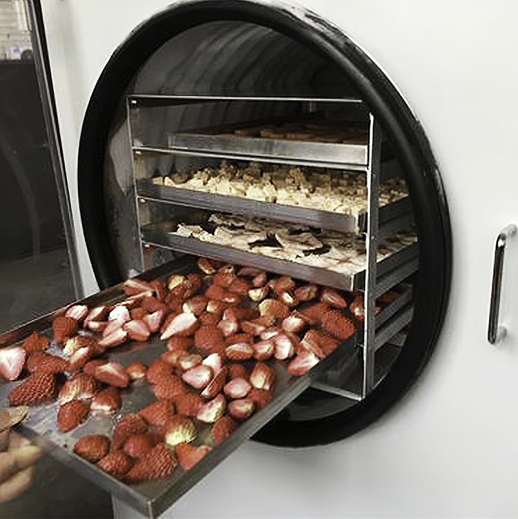 草莓凍干機(jī) 草莓凍干機(jī)