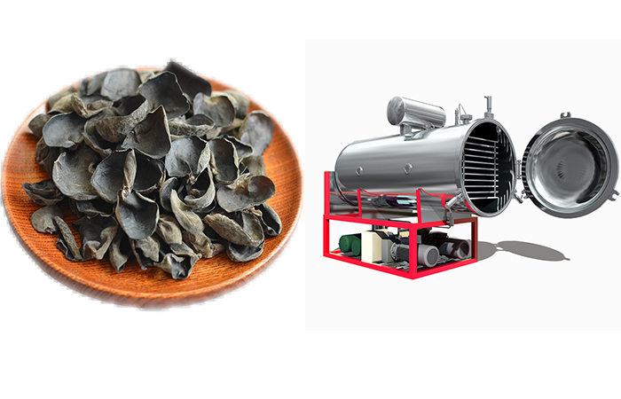 木耳凍干機(jī) 木耳凍干機(jī)