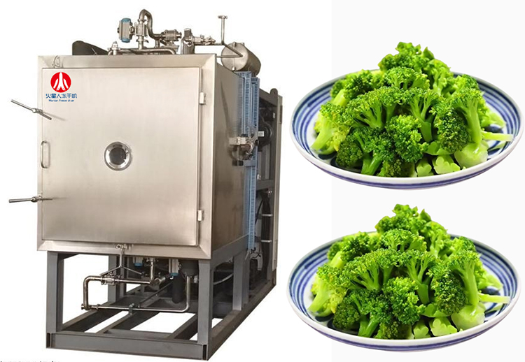 果蔬食品凍干機(jī)