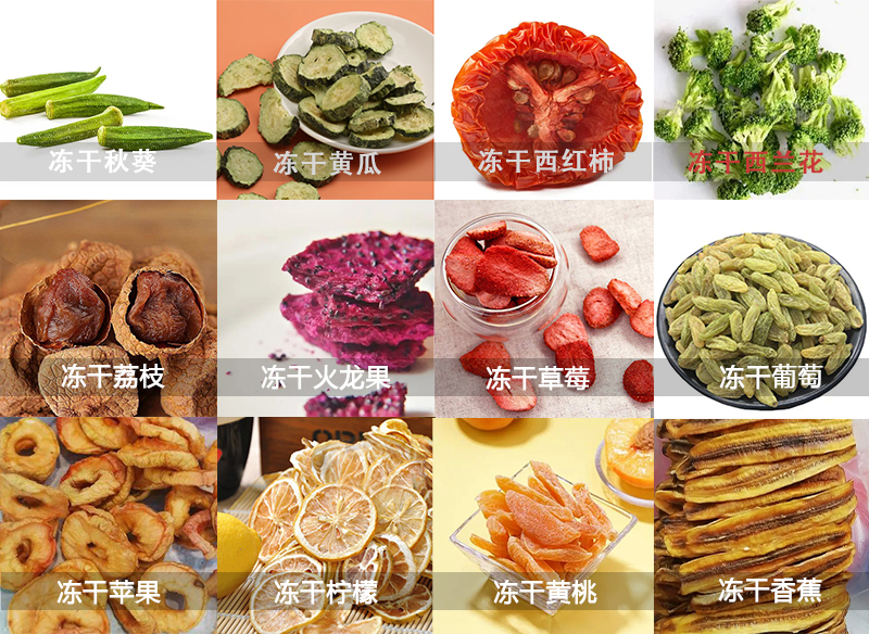 果蔬凍干機的應(yīng)用圖