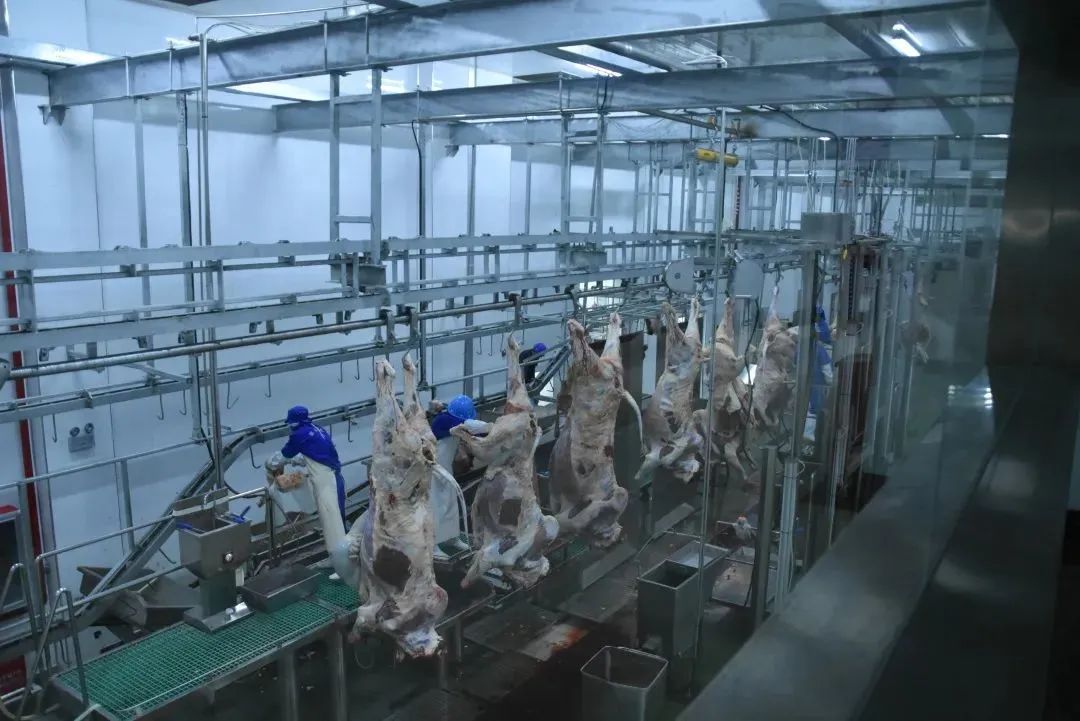 1689562536182881.jpg 640 (1).jpg