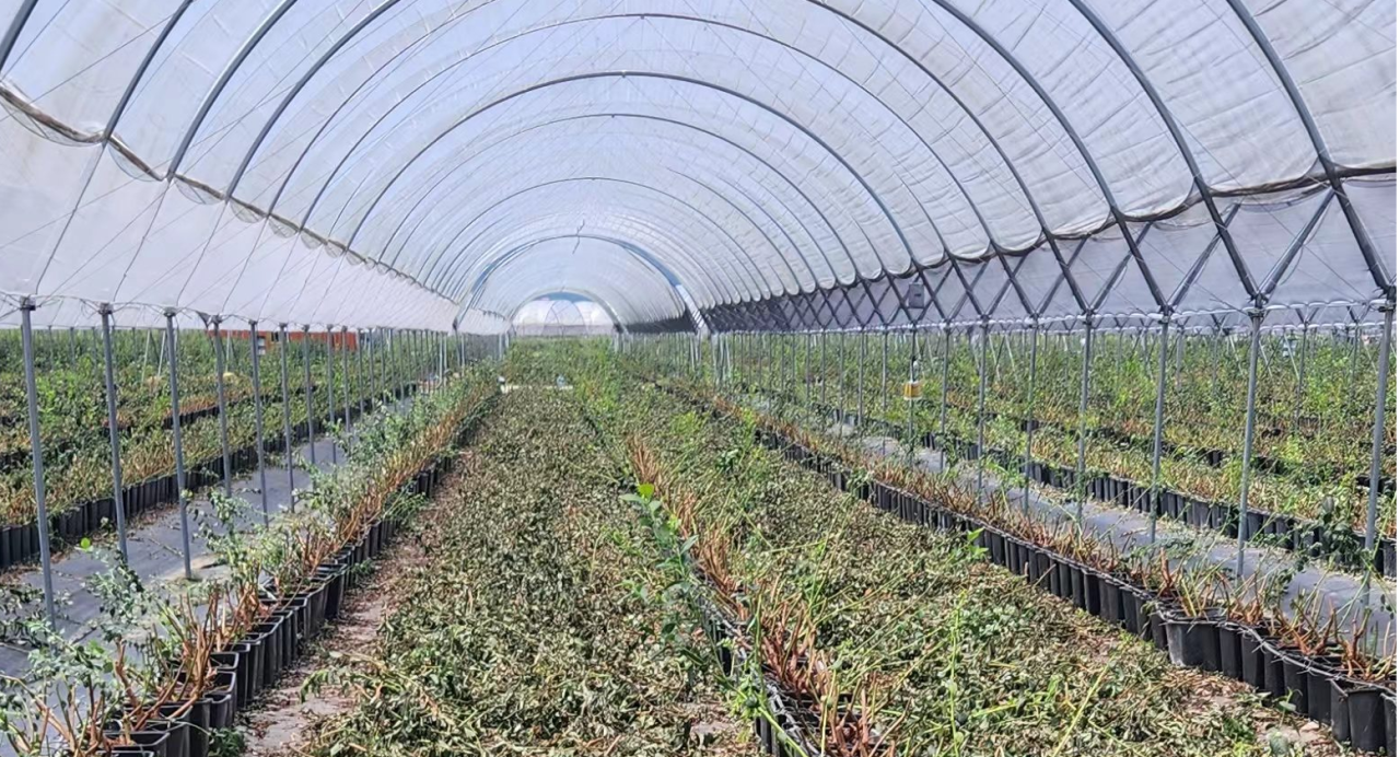 1698028907294608.png 1698028907294608.png